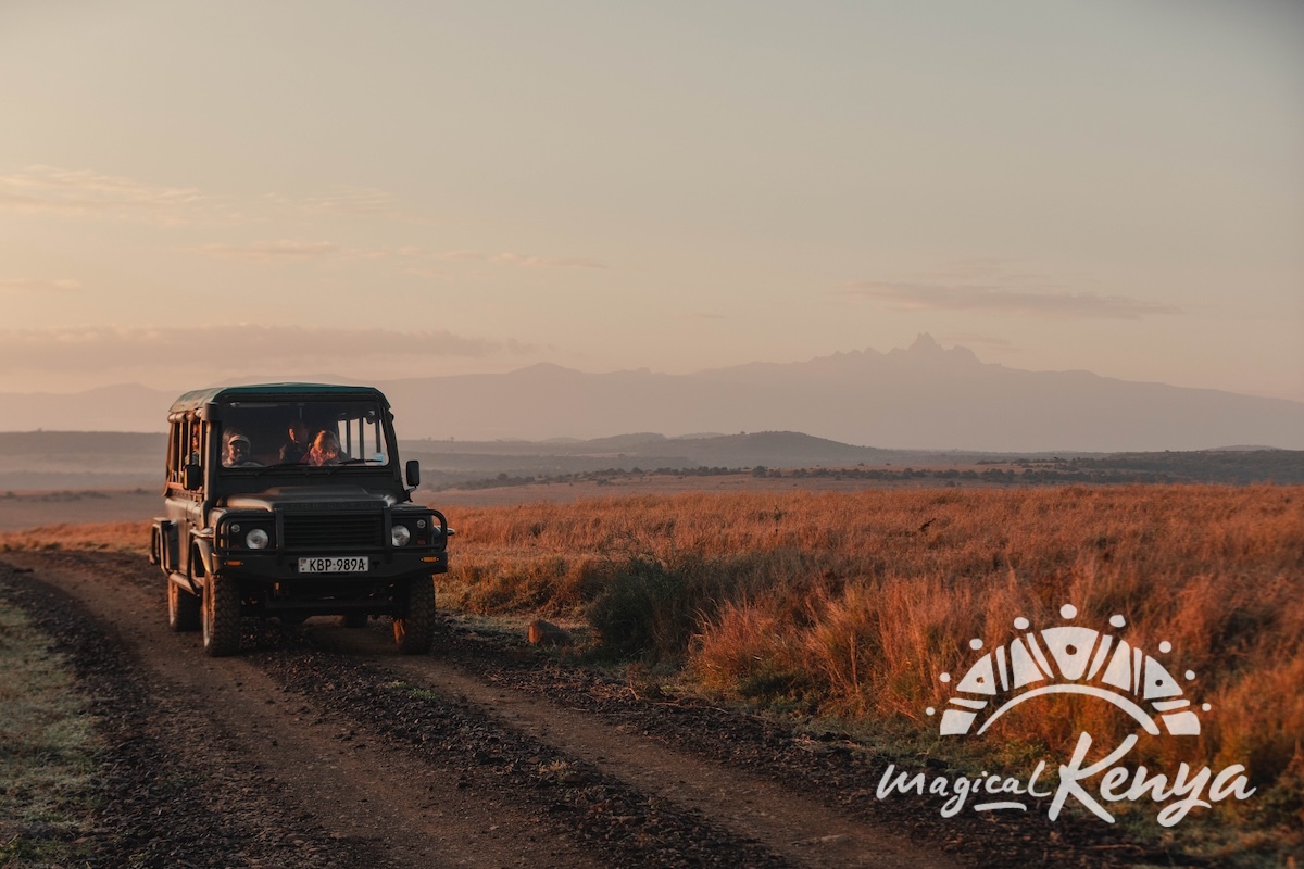 Borana thumbnail 2