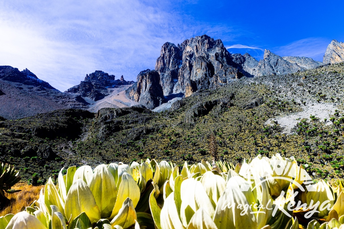 Mount Kenya thumbnail 3