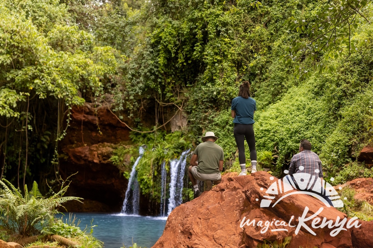 Ngare Ndare Forest thumbnail 3